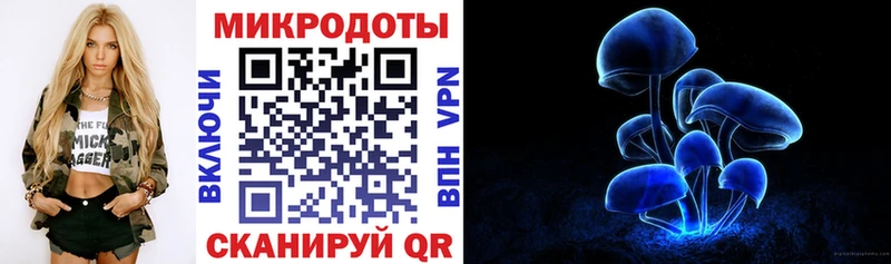 Псилоцибиновые грибы Psilocybine cubensis  Палласовка 